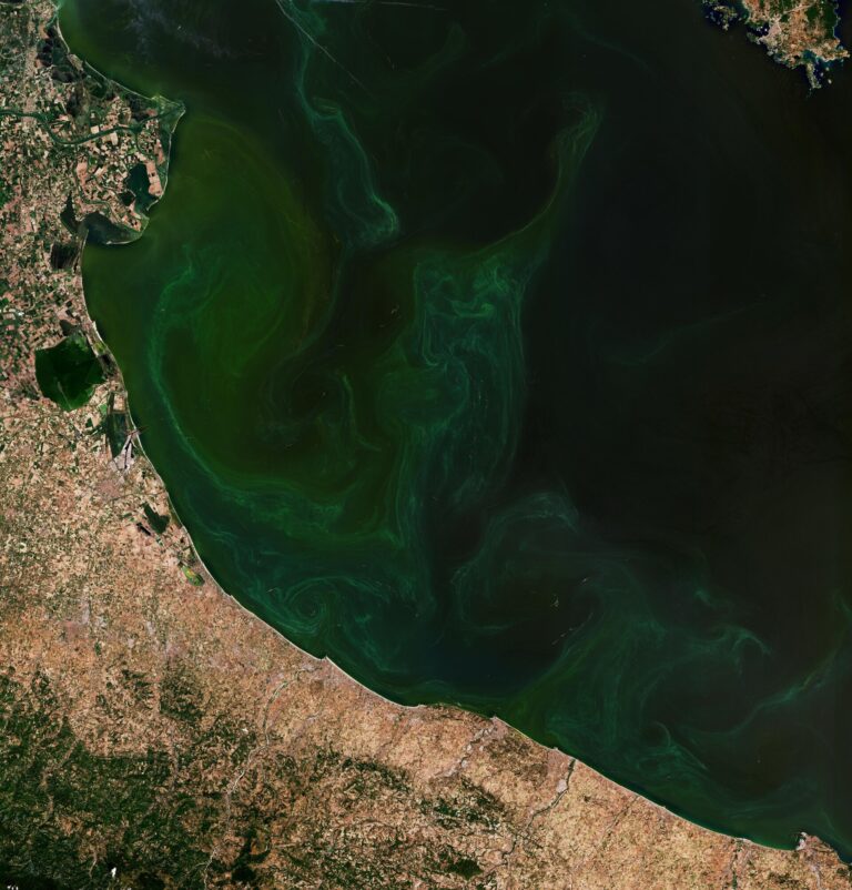 Terra dallo Spazio: Il Fiorire dell'Adriatico!