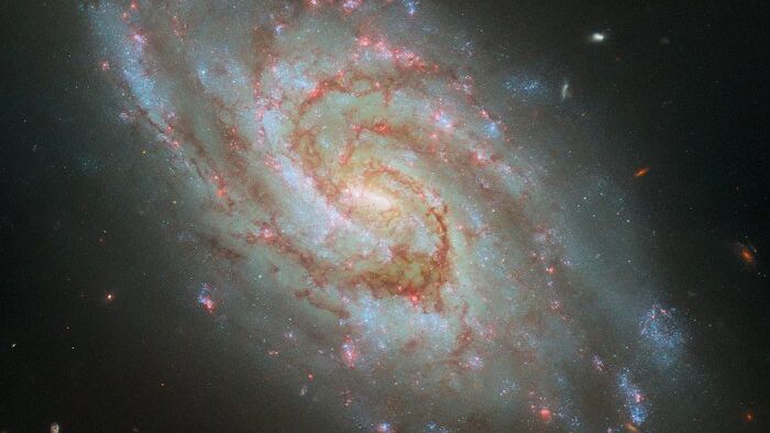 Il Telescopio Hubble Scopre una Galassia Spirale nel 'Orologio' Cosmico!