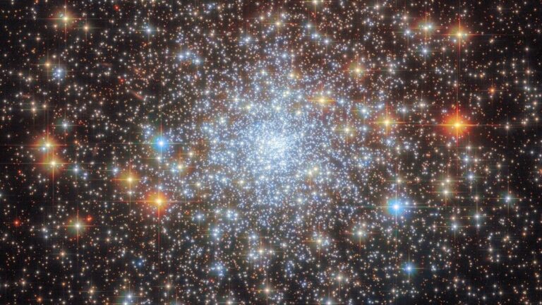 Le Galassie Giganti: Scopri le 'Città' dei Supercluster dell'Universo!