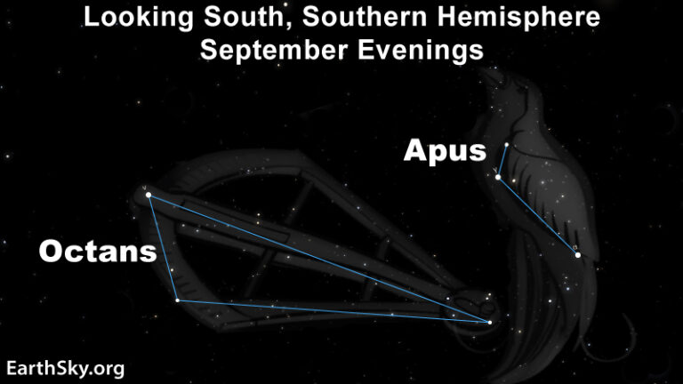 Octans e Apus: le Costellazioni che Danza Attorno al Polo Celeste del Sud!