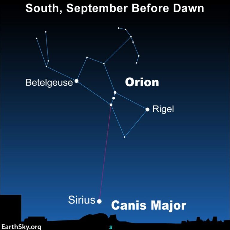 Il Punto di Luce di Orione: Sirius si Rivela nelle Mattine di Settembre!