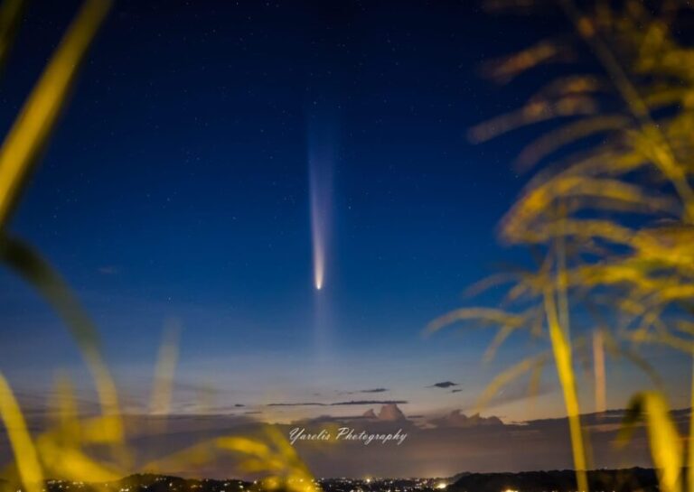 Cometa A3: Hai visto la sua incredibile contro-coda?