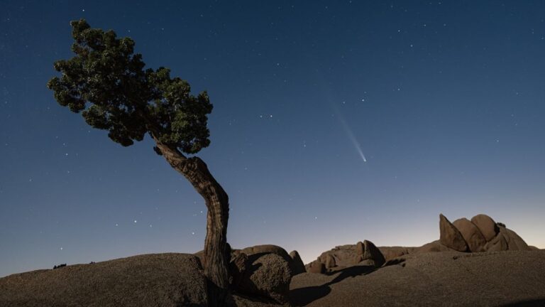 Scopri la 'cometa del secolo' illuminare il cielo notturno in foto mozzafiato!