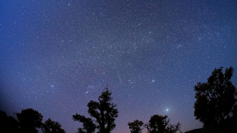 Picco delle Orionidi: Scopri come vedere i resti della cometa Halley brillare nel cielo!