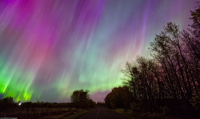 Aurora Ovunque! Le Migliori Immagini dello Spettacolo del 10 Ottobre