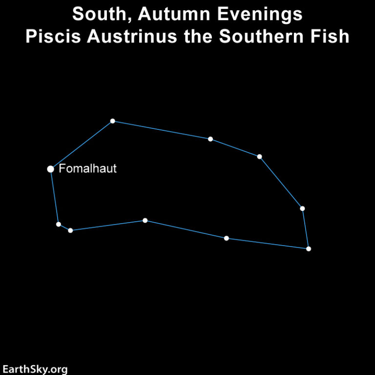 Incontra Piscis Austrinus, il Pesce del Sud e l’eroe solitario Fomalhaut!