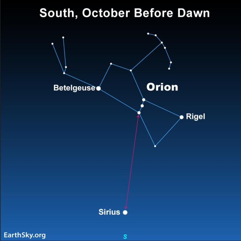 “Le stelle più brillanti: Sirius splende alto nei mattini di ottobre!”