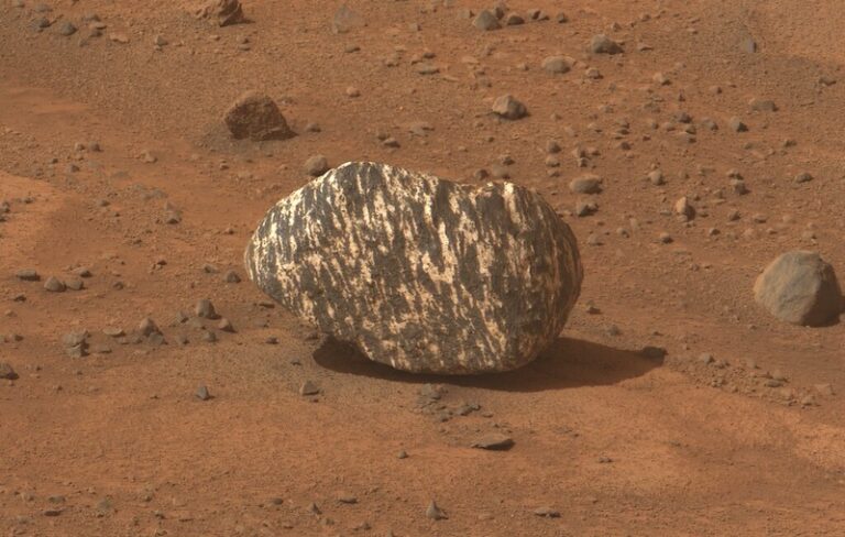 Un misterioso 'rock zebra' su Marte e un nuovo volto marziano!